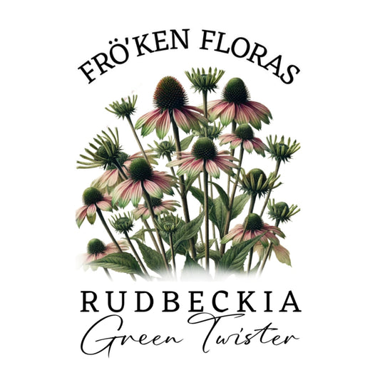 Rudbeckia "Green twister"
