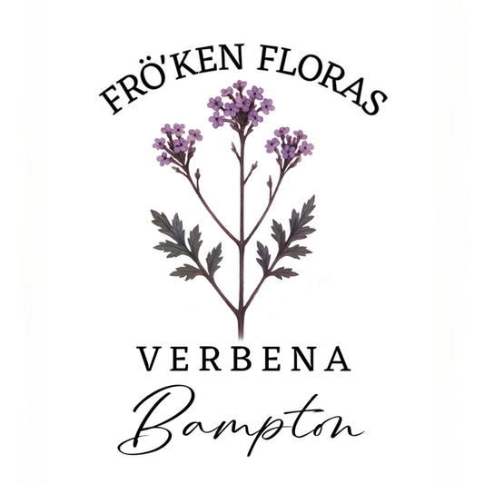 Verbena "Bampton" (Järnört)