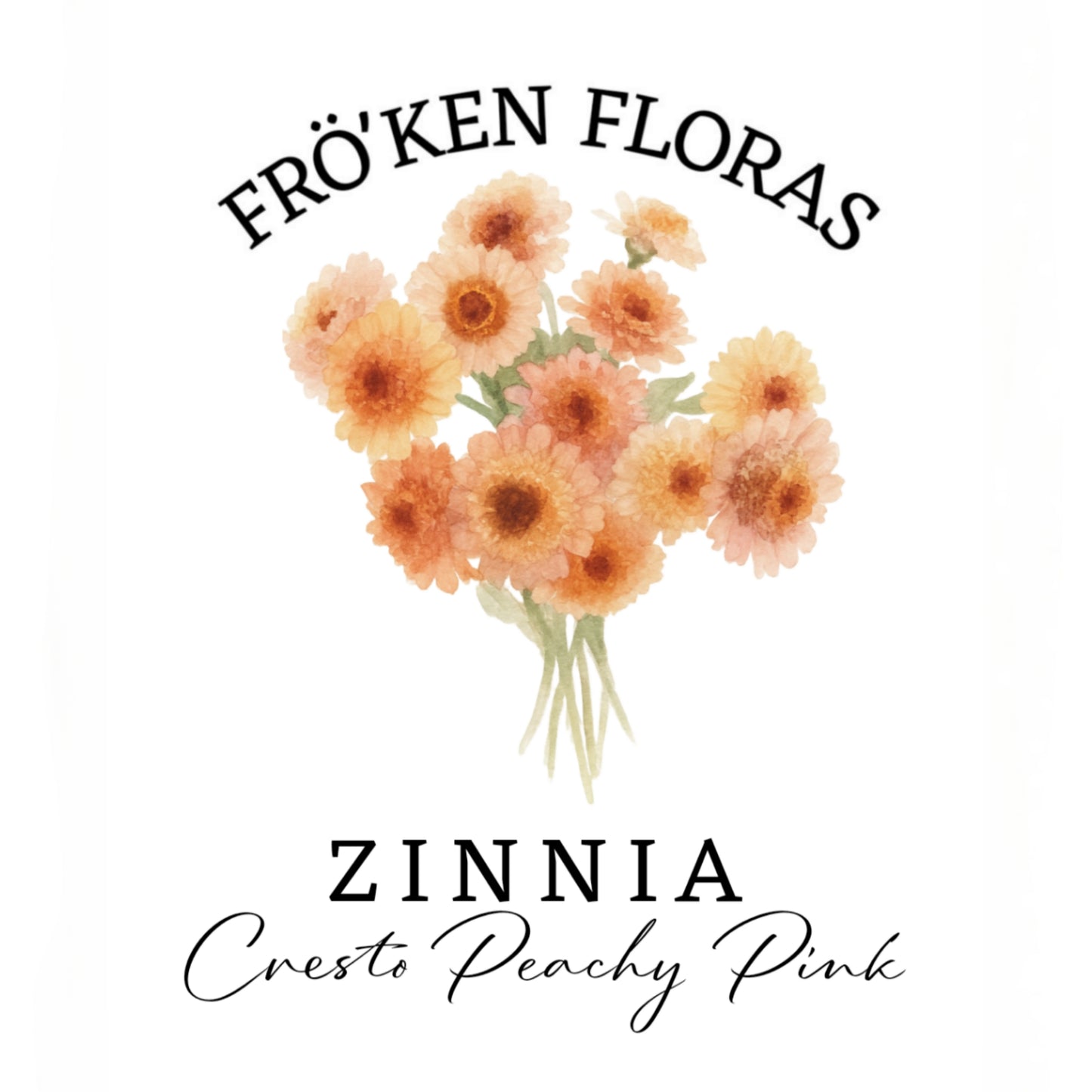 Zinnia "Cresto peachy pink"