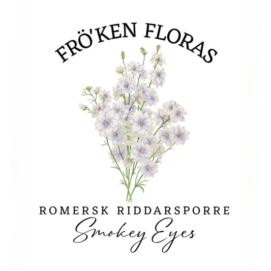 Romersk riddarsporre "Smokey eyes"