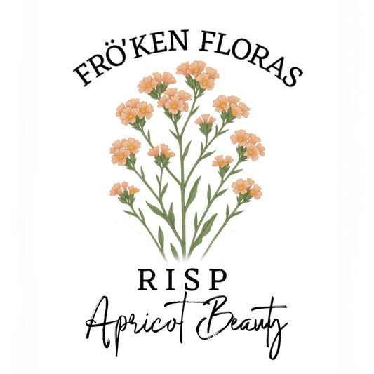 Risp "Apricot beauty"