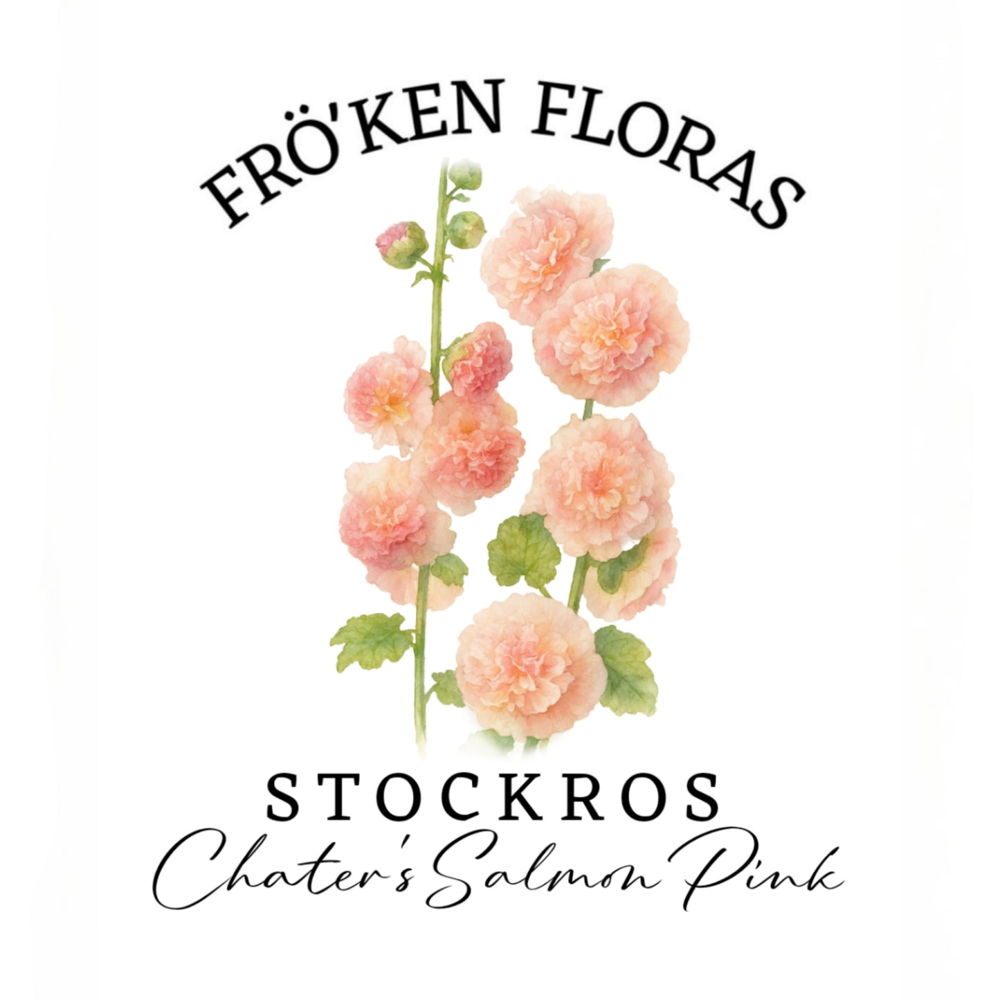 Stockros "Chater's salmon pink"