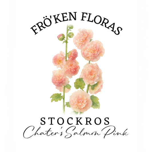 Stockros "Chater's salmon pink"