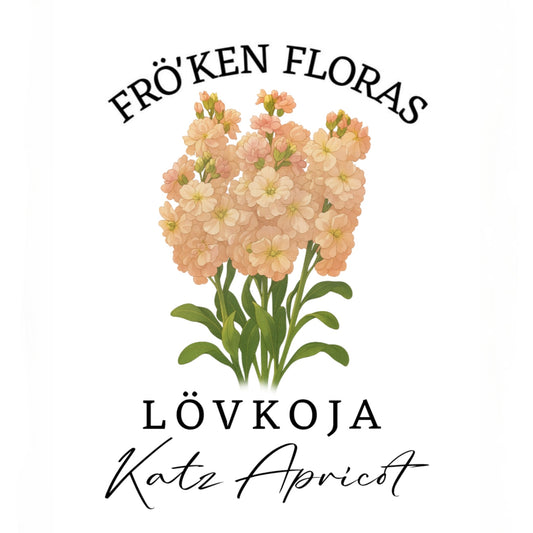 Lövkoja "Katz apricot"