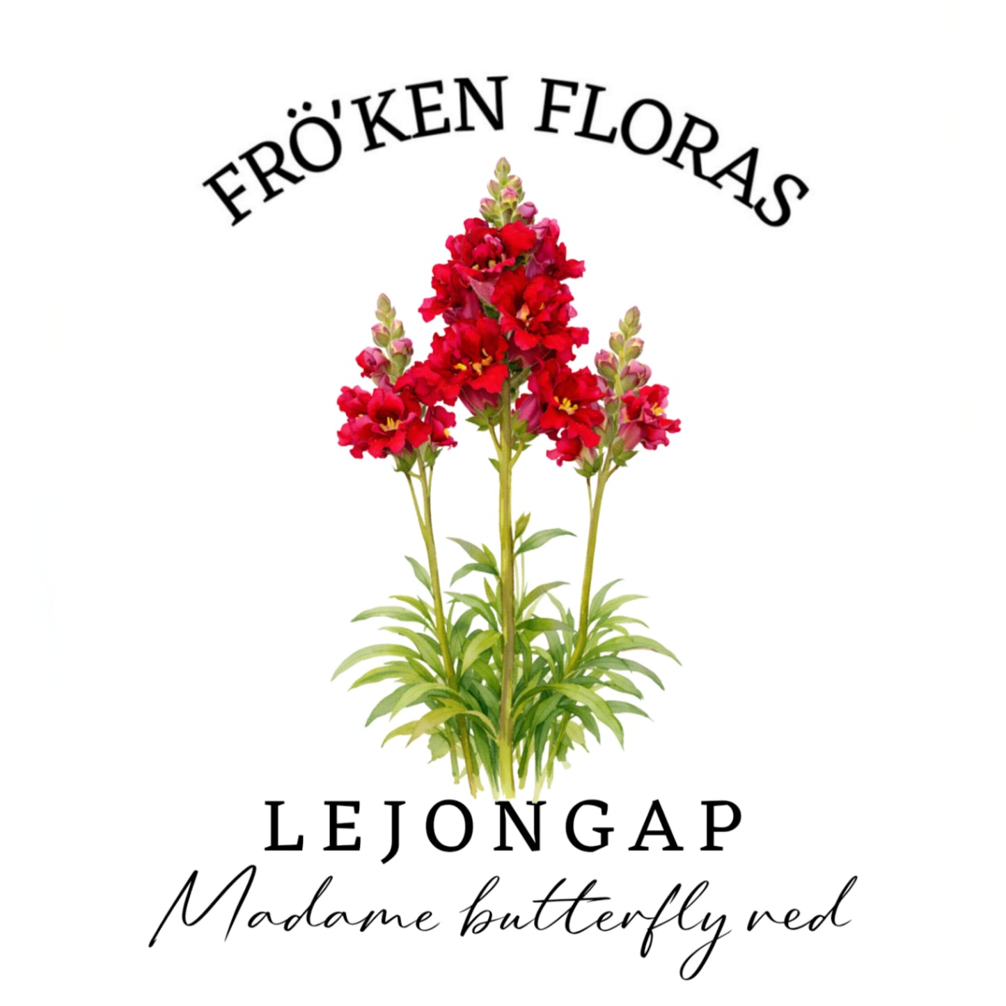 Lejongap "Madame butterfly red" F1