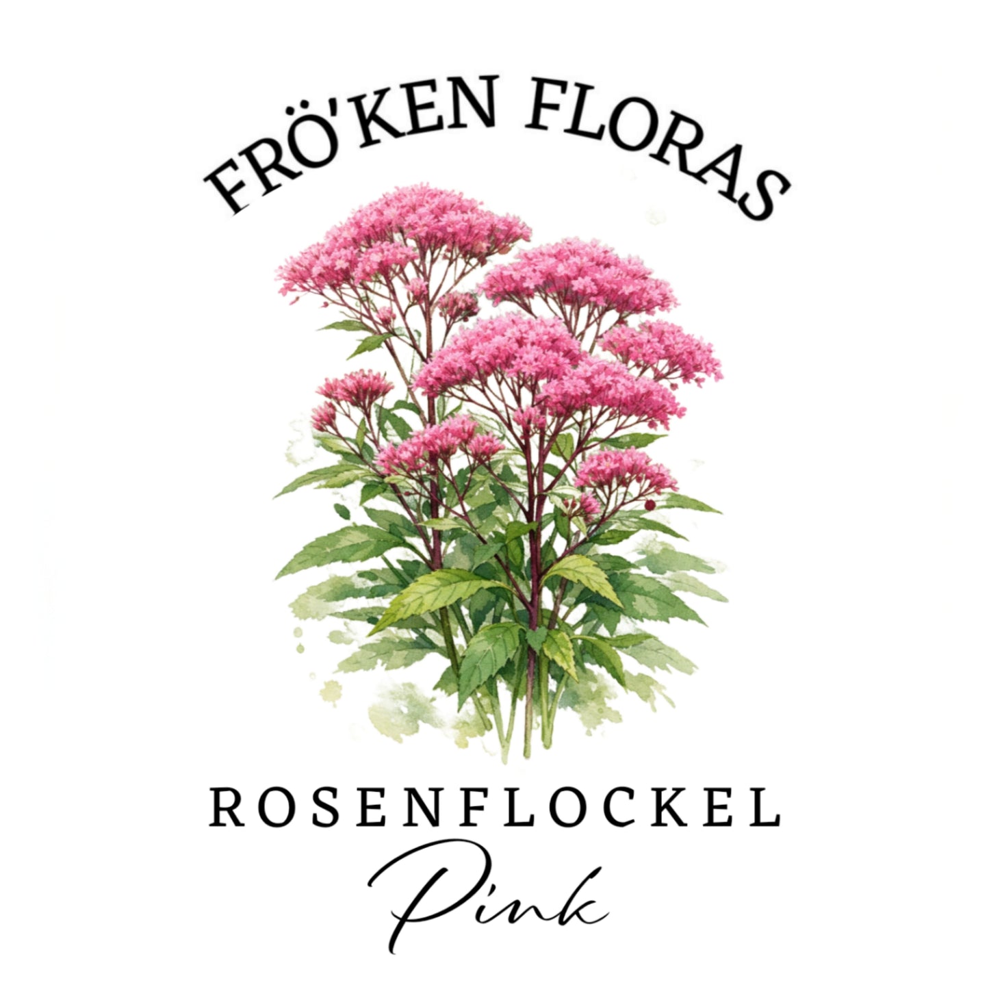 Rosenflockel "Pink"