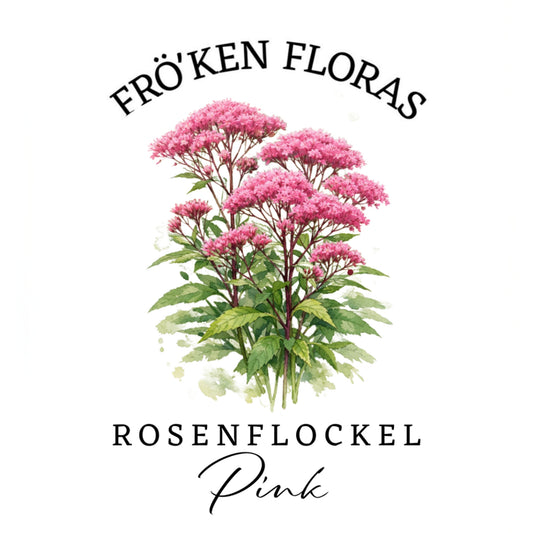 Rosenflockel "Pink"