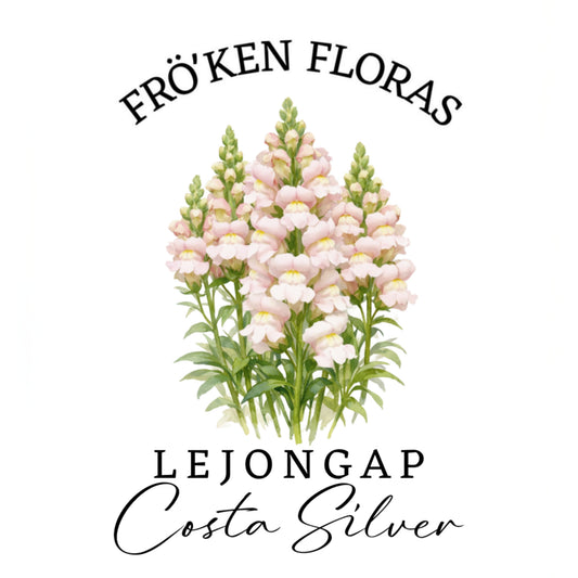 Lejongap "Costa silver" F1