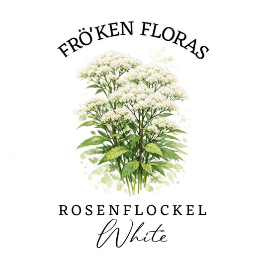 Rosenflockel "White"