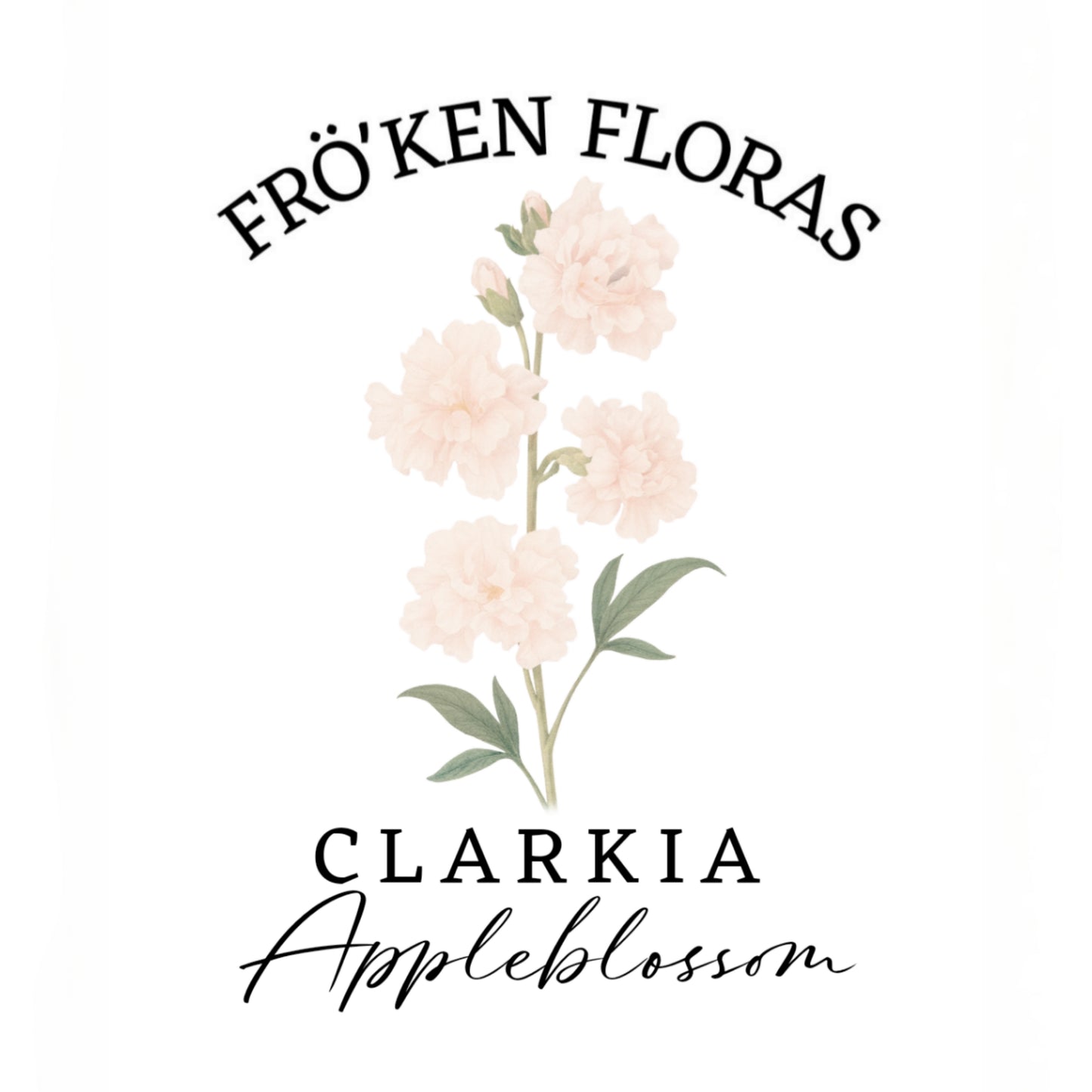 Clarkia "Appleblossom"